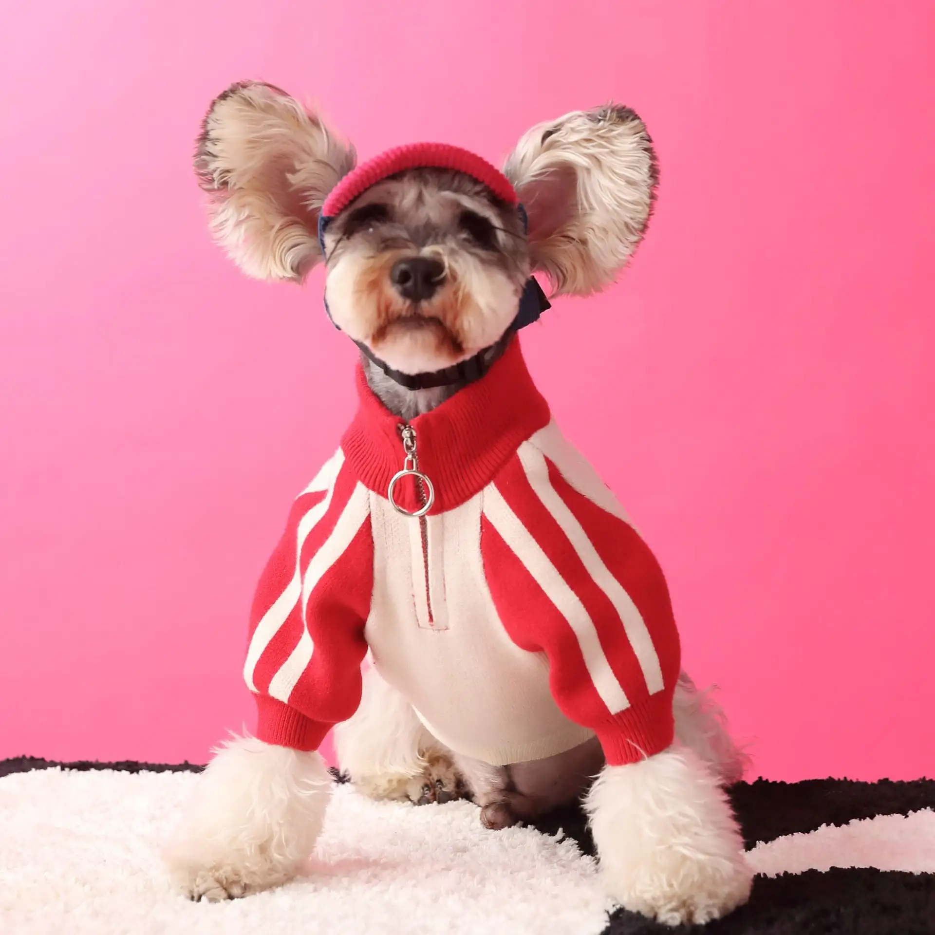 Puppy Dog Sports Sweater Cardigan Men's Pet