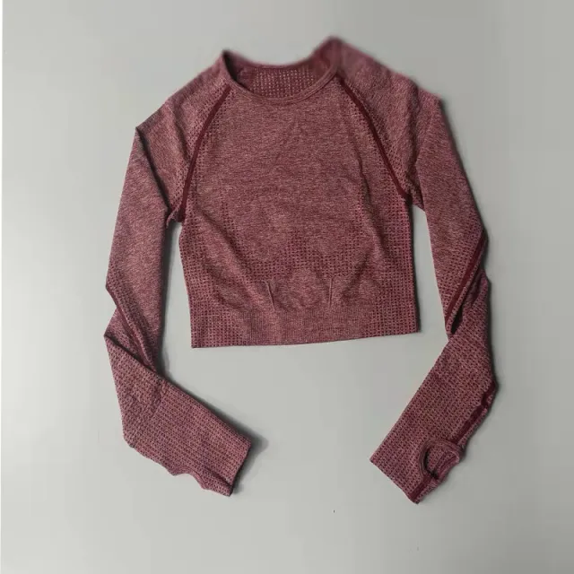 Sports T shirt Quick drying Tight High Elastic Short Seamless Long sleeved Coat Wine Red - Shop at LoveMi