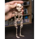Bone Color