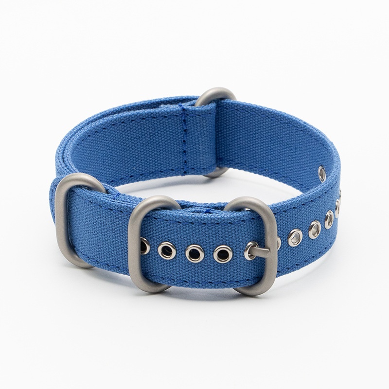 Royal Blue Silver Buckle