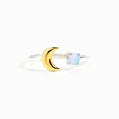 Minimalist Star And Moon Two-tone Ring - White Gold Color - View 1