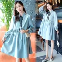 Blue Dress Single Piece