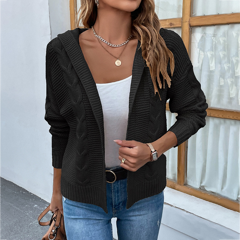 Women's Fashion Casual Solid Color Hooded Twist Sweater Cardigan Coat Black - Shop at LoveMi