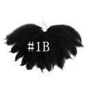 1Bcolor