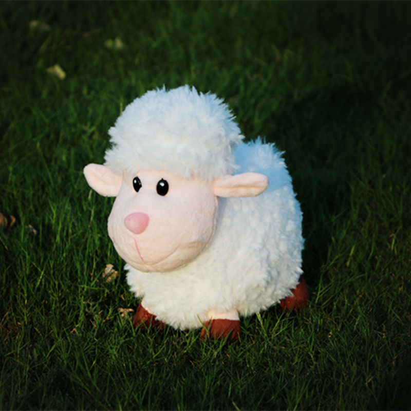 Cute Little Sheep