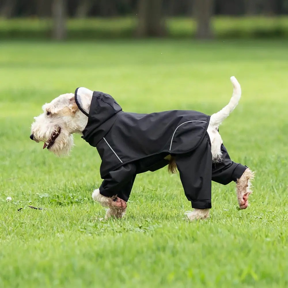 Hooded Full-Covering Raincoat For Small And Medium-Sized