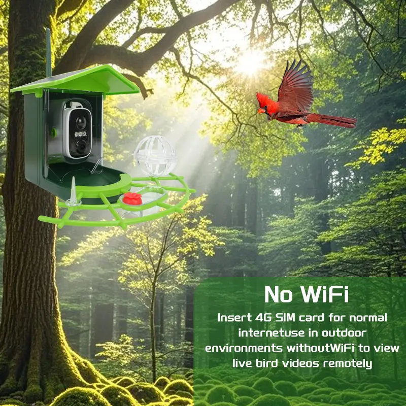 Smart Recognition Birdwatching Feeder