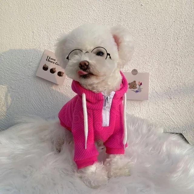 Internet Celebrity Pet Sweater Handsome Thin Xiaofa Sweater Rose Red - Shop at LoveMi
