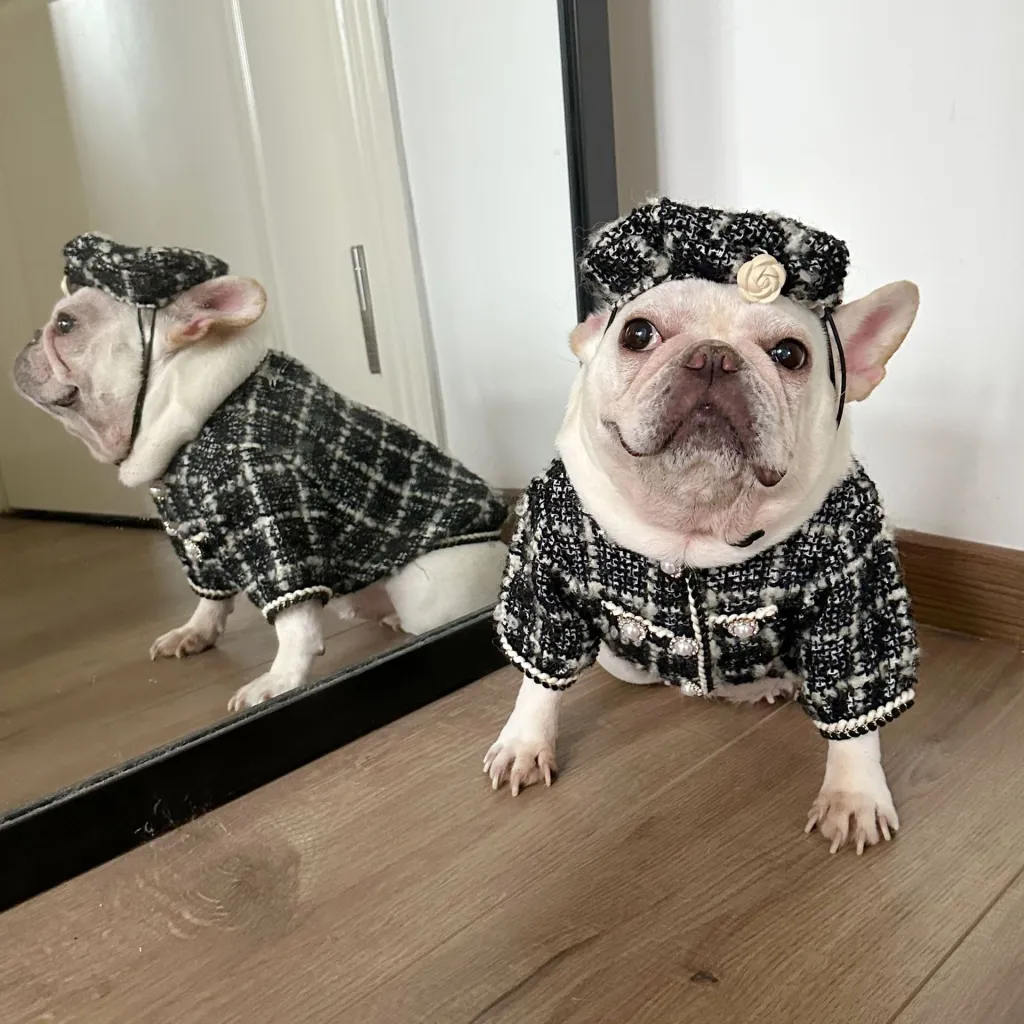Cotton Pet Style Clothes Dog Cat Jarre Aero Bull Schnauzer Winter - Black