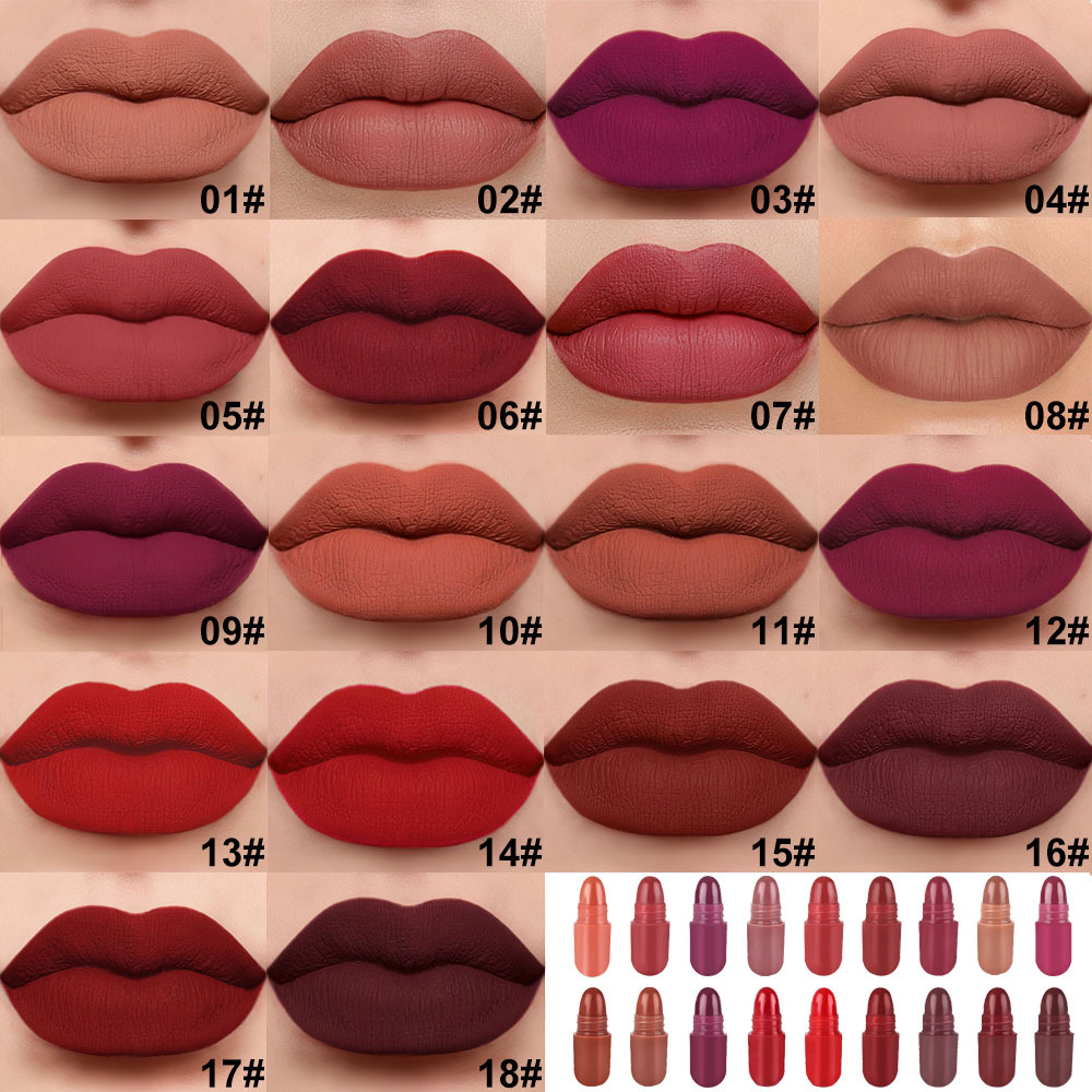 Stylish Capsule Mini Matte Lipstick Set