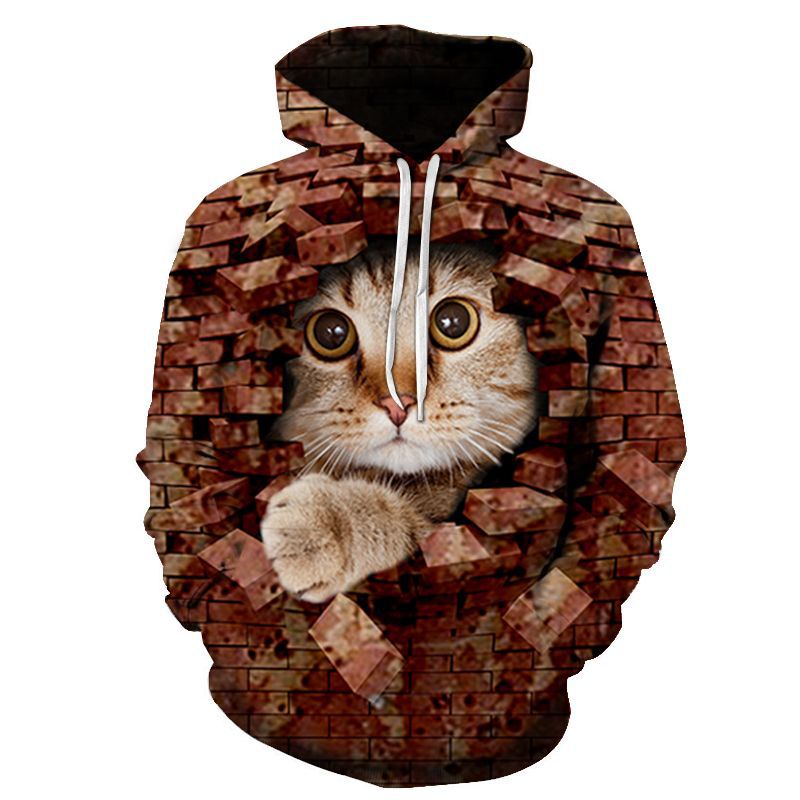 Couples Hoodie With 3D Digital Cat Print