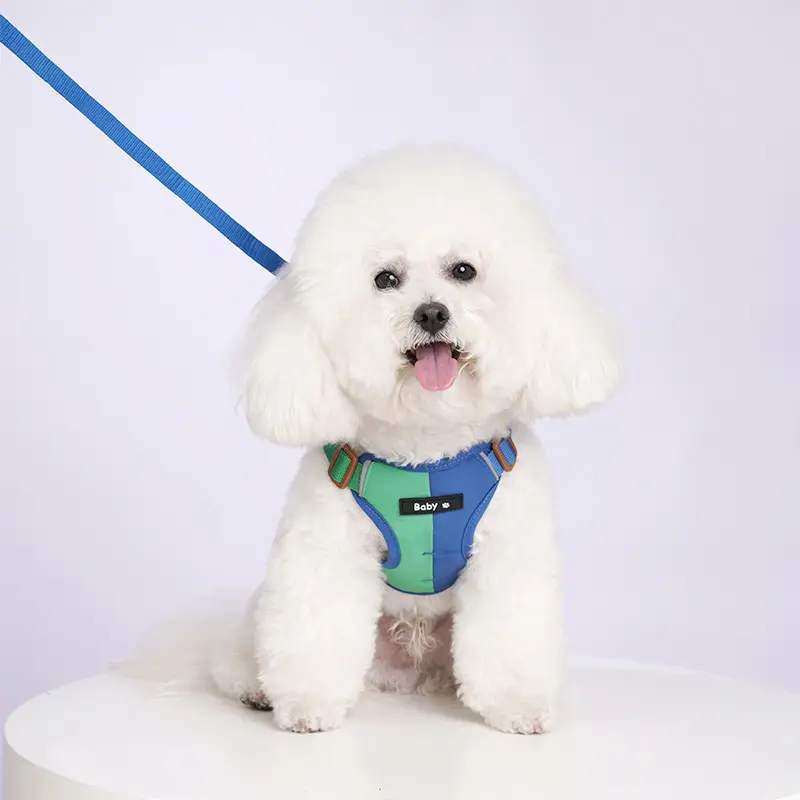 Reflective Dog Harness With Two-Tone Design
