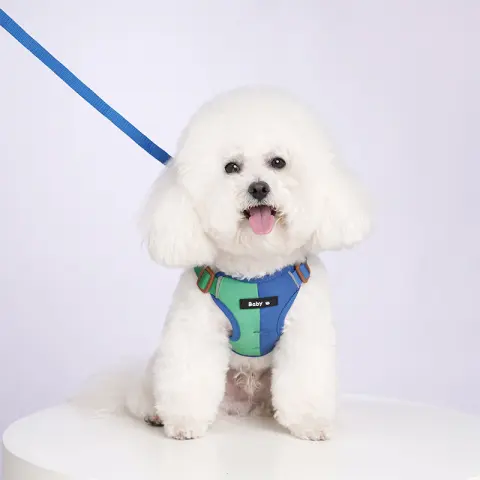Reflective Dog Harness with Two-Tone Design and Leash