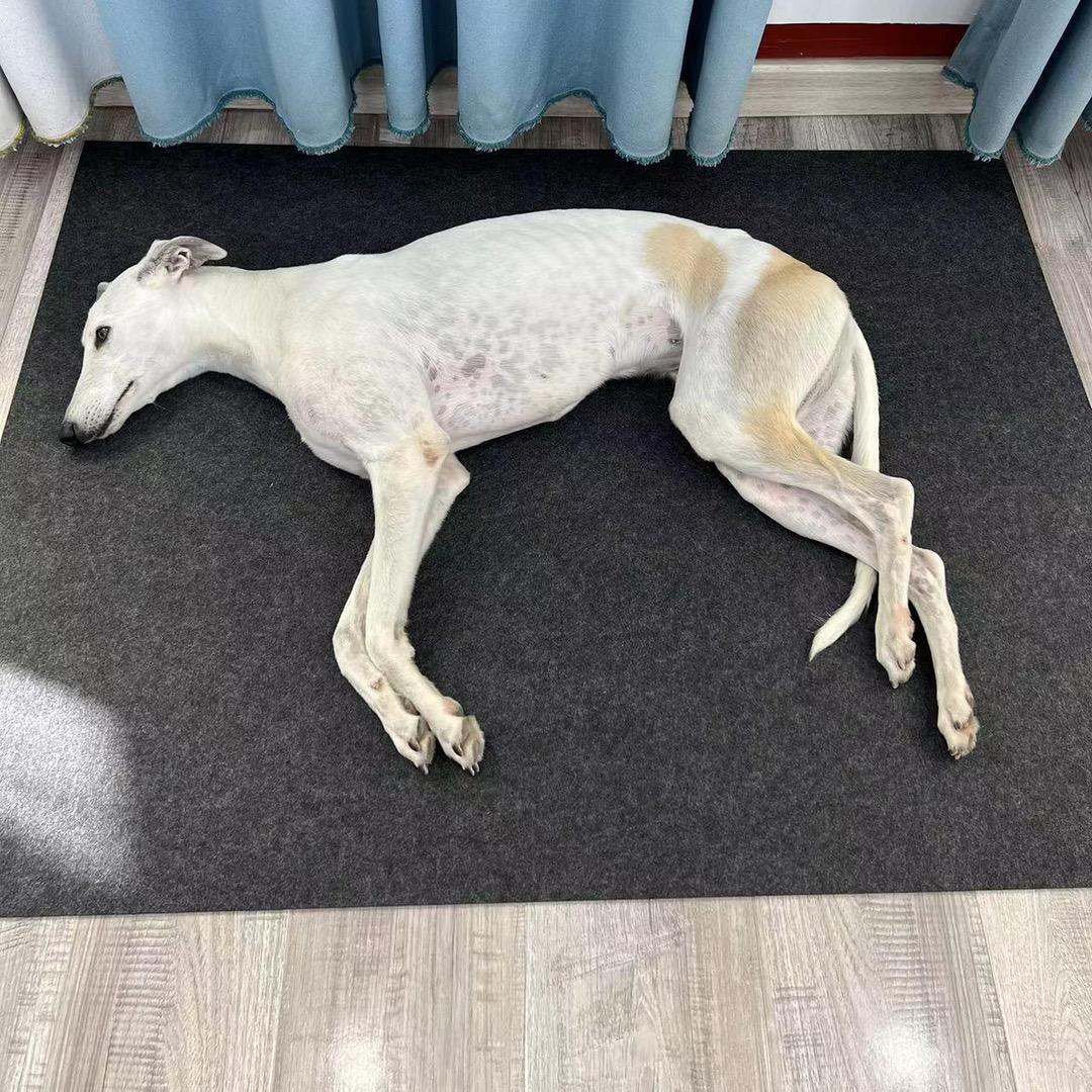 Dog Mattress Floor Mat For Sleeping Thickened Pet Dog Pad detail photo 7