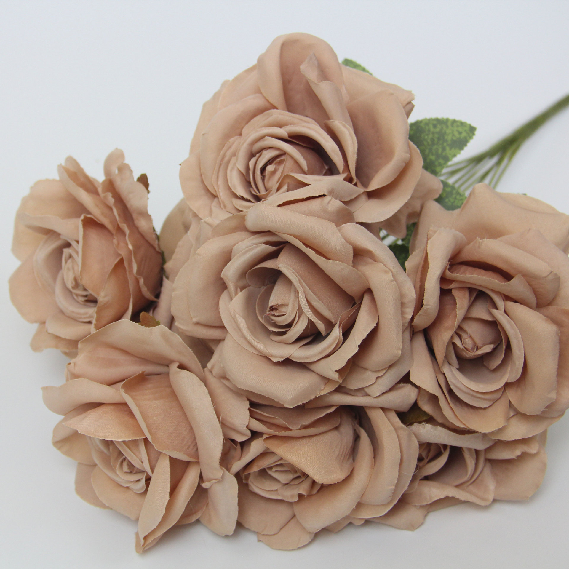 Dark Coffee Color