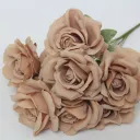 Dark Coffee Color