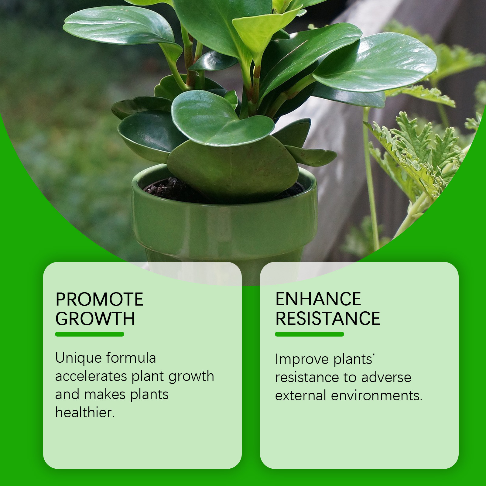 Title 8, Solution nutritive pour la croissance des plant...