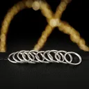 10 Silver Circles