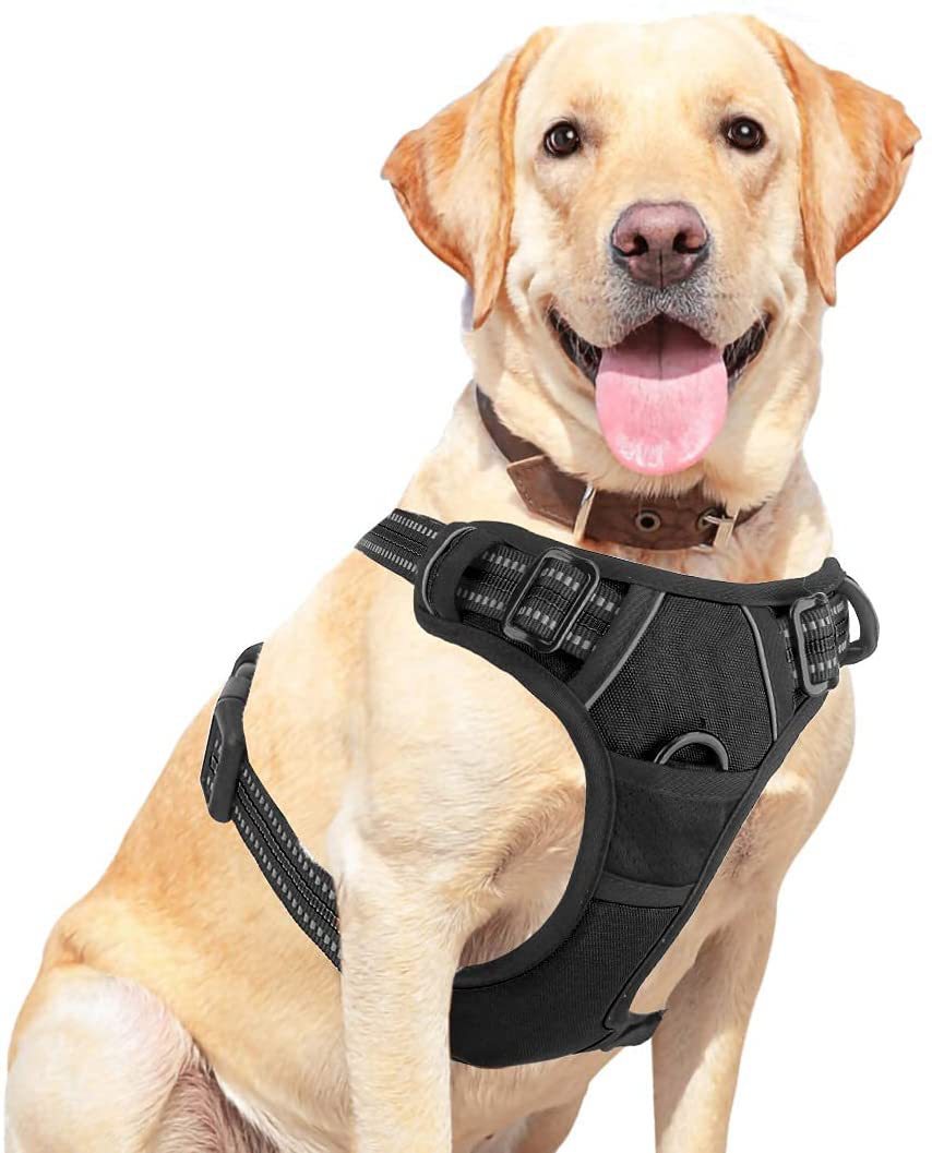 Pet Dog Hand Holding Rope Chest Strap