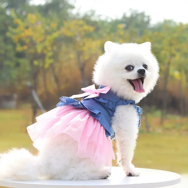 Korean Version Creative Bow Pet Denim Skirt