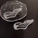 Silver 2Pcs