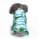 Yy35 Sea Turtle