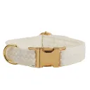 Dog Collar