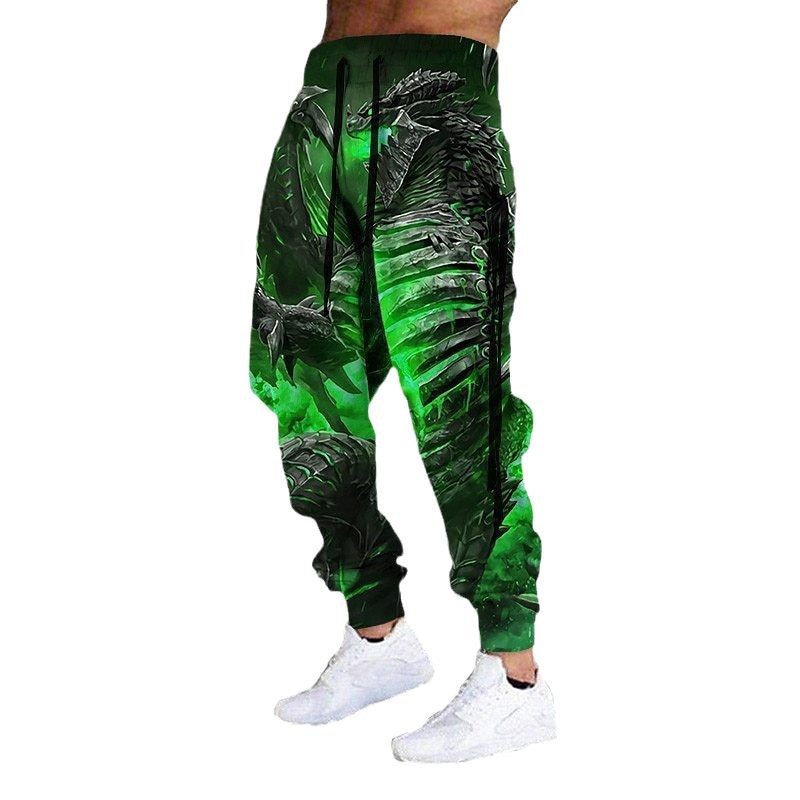 Drawstring Elastic Waist Retro Harem Pants With 3D Animal Print Mens Athletic Trousers