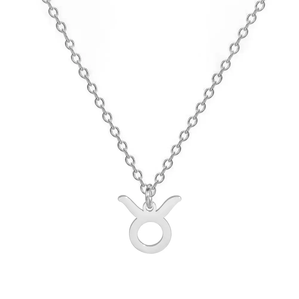 Cross Border Hot Sale Stainless Steel Twelve Constellation Clavicle Chain Plated Temperament Wild Necklace