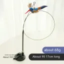 Bluebird'S Long Beak