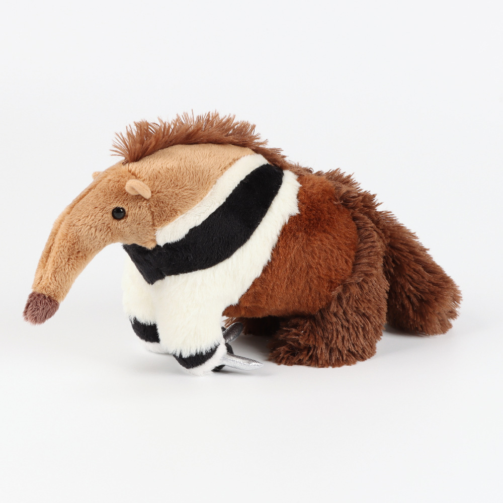 Anteater