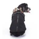 Dz281 Black