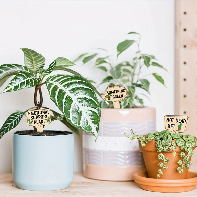 https://cf.cjdropshipping.com/quick/product/e2bcf2c5-bea1-4470-8c47-1b33ceca65ff.jpg