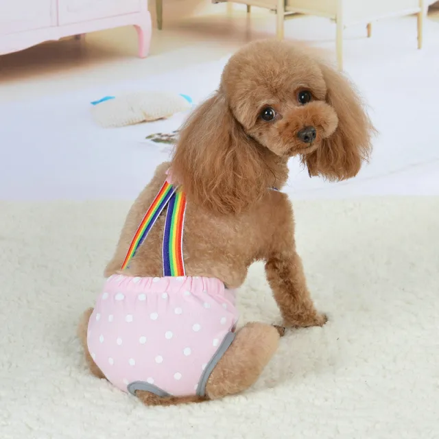 Pet Cute Strap Menstrual Panties Dot Light Pink - Shop at LoveMi