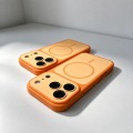 Xingyu Orange