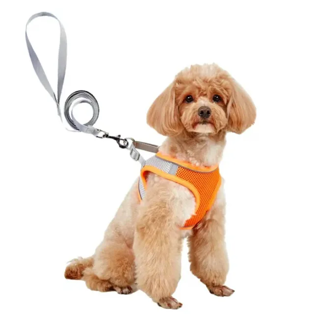 Dog Hand Holding Rope Vest Small Dog Dog Leash Teddy Bichon Breathable Chest Strap Pomeranian Puppy Small Dog Leash Style4 - Shop at LoveMi