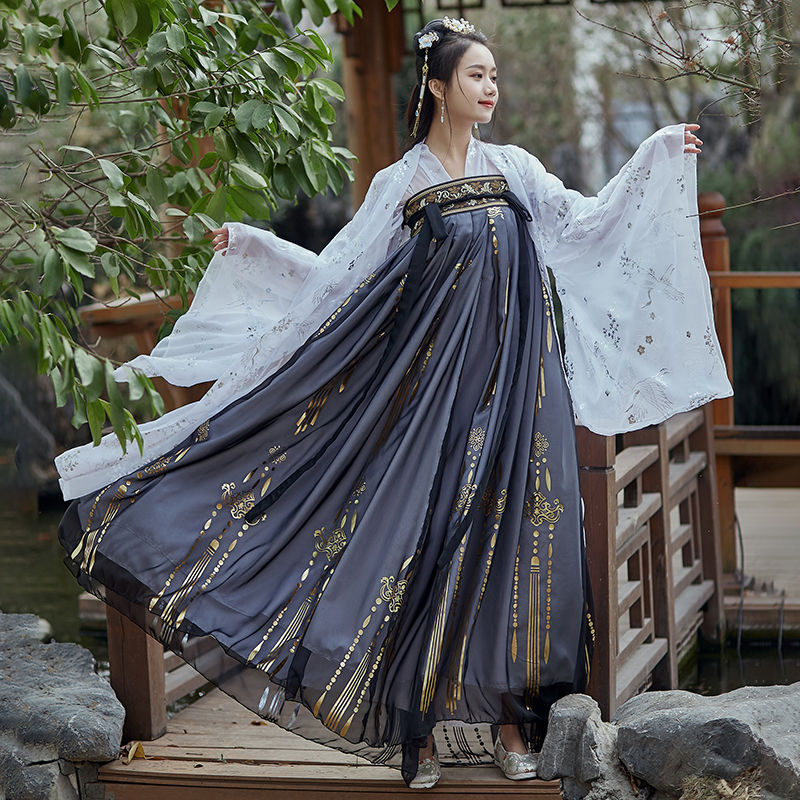 Women's Ancient Style Cloud Crane Hanfu Gilding Large Swing Skirt Black - Shop at LoveMi