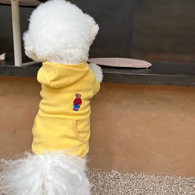Dog Clothes Cartoon Bear Satchel Sweater Yellow - Shop at LoveMi