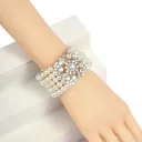 007 Silver