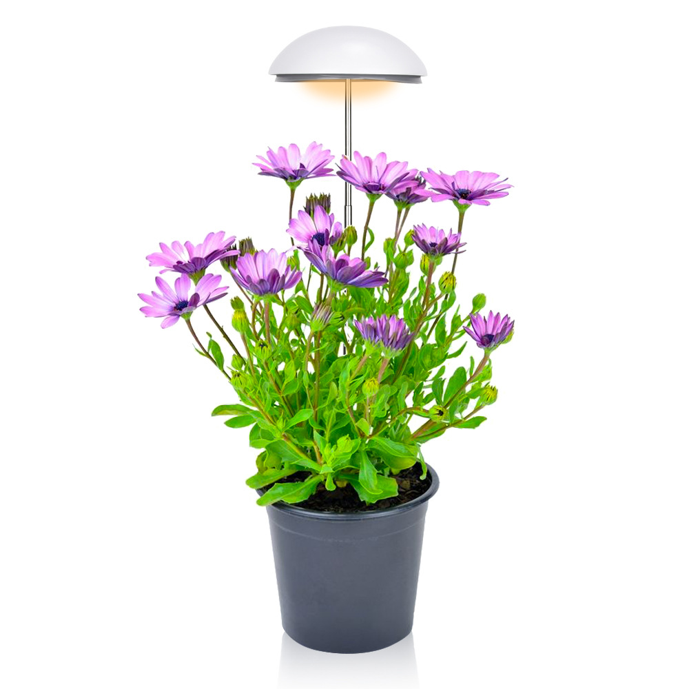 Adjusting Brightness Cycle Timing For Small Full Spectrum Plant Lamps - Image 5