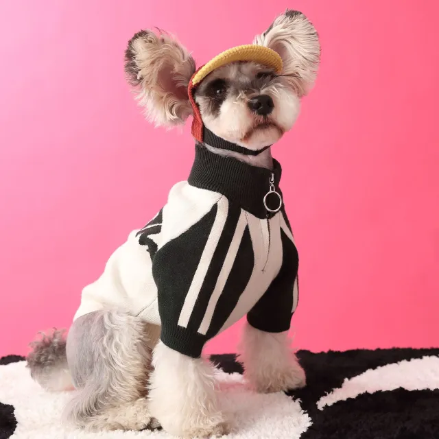 Puppy Dog Sports Sweater Cardigan Men's Pet Clothing Dark Green Without Accessories - Shop at LoveMi
