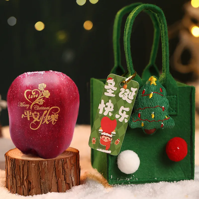 Christmas Gift Bag Gift Christmas Eve – image 4