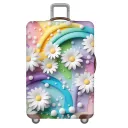 Rainbow Chrysanthemum