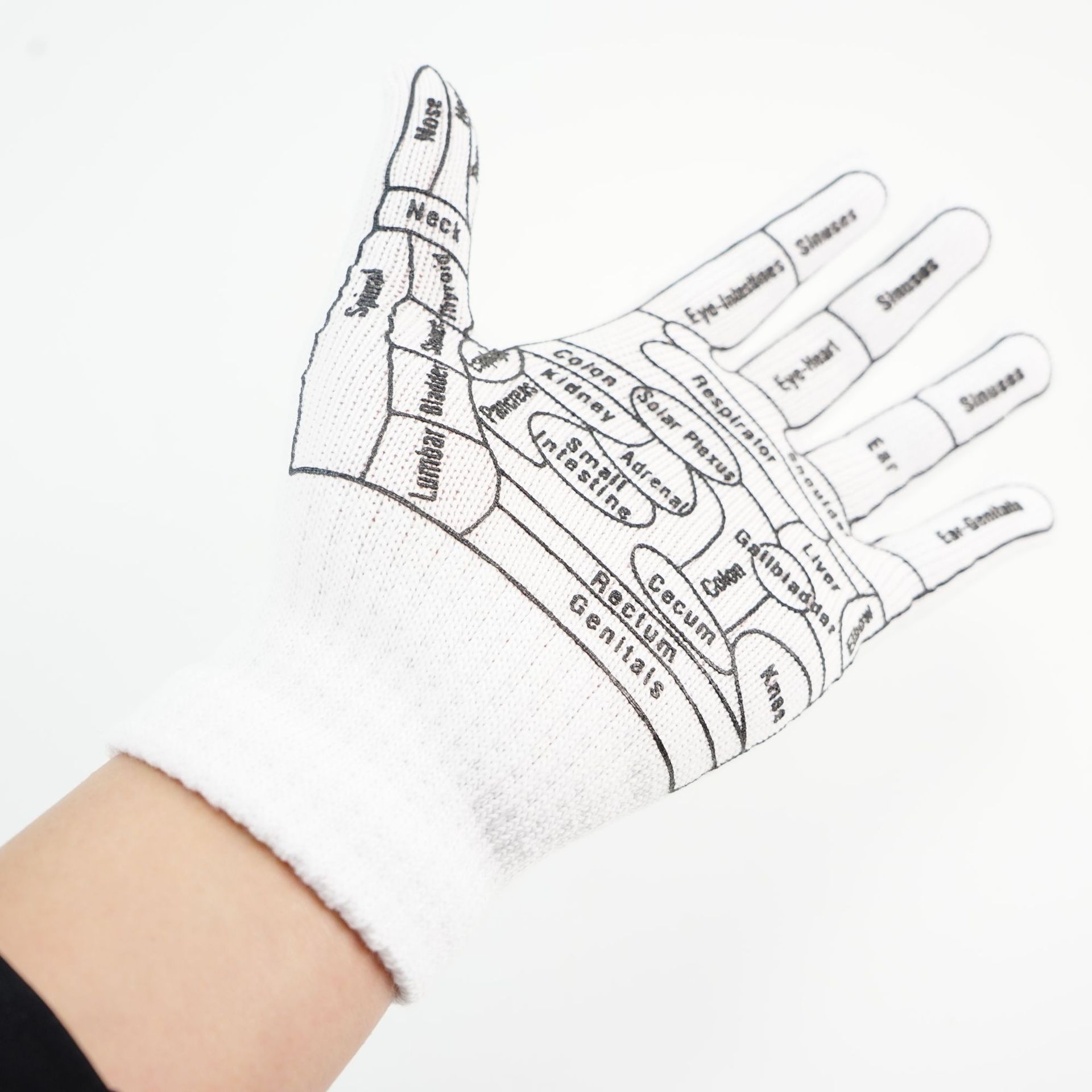 https://cf.cjdropshipping.com/quick/product/e4fb2ead-33d4-4807-a7c0-6a97b1a898e2.jpg