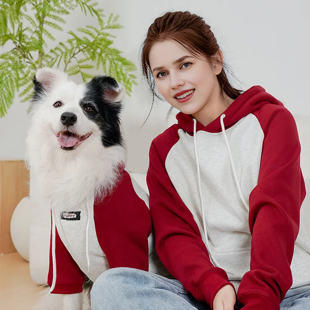 Pet Autumn And Winter Letter Printing Dog
