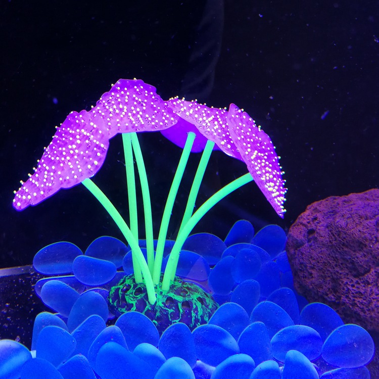 Purple Blade Anemone