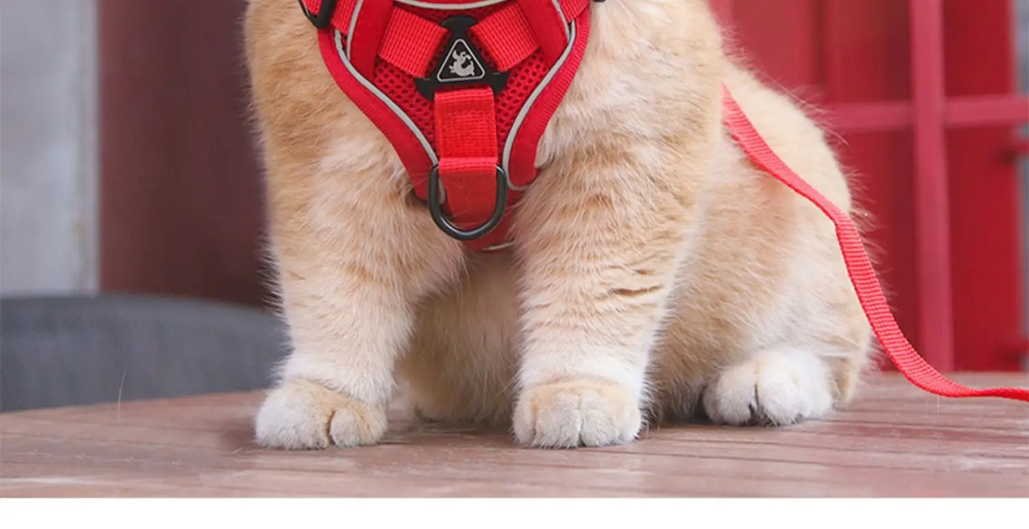 Dog Hand Holding Rope Pet Vest Chest Strap Mesh Breathable Cat Anti-lost Collar