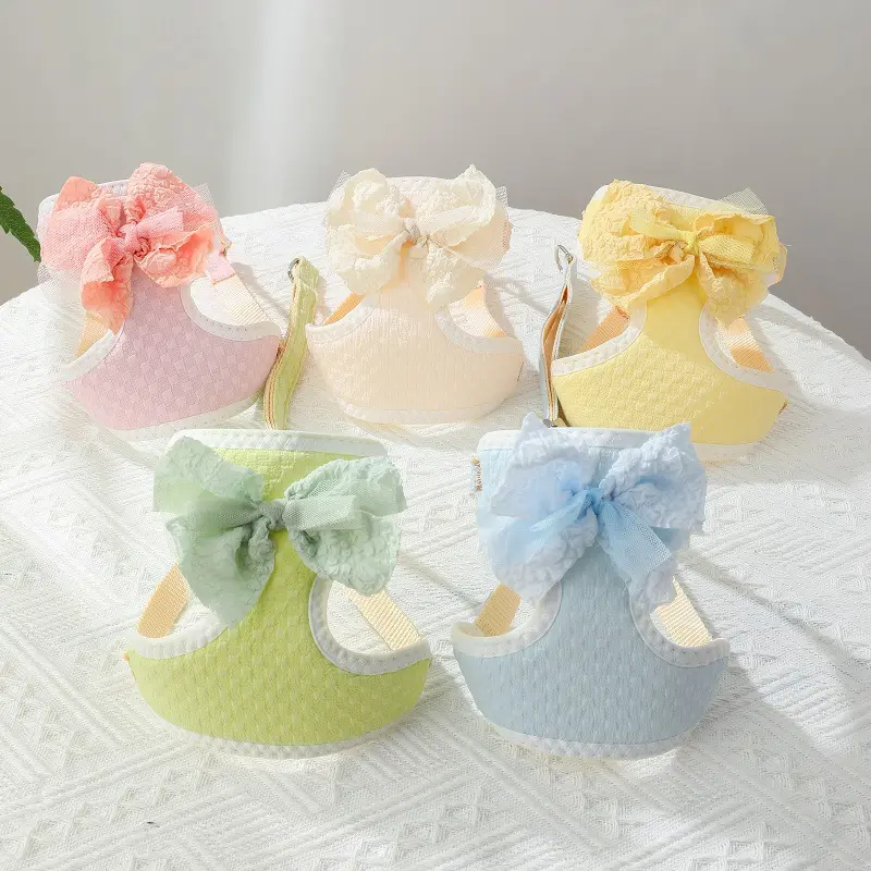 Hand Holding Rope Chest Strap Small Puppies