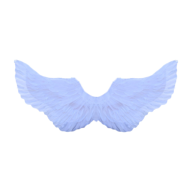 Title 2, Personalized Halloween COSPLAY Angel Wings