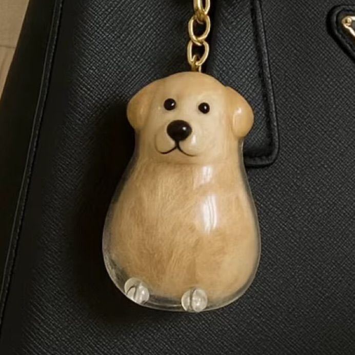 https://cf.cjdropshipping.com/quick/product/e5e85ff1-1d50-4723-8ca0-42794c32fa14.jpg